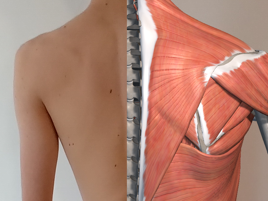 Physiotherapie in Spanien